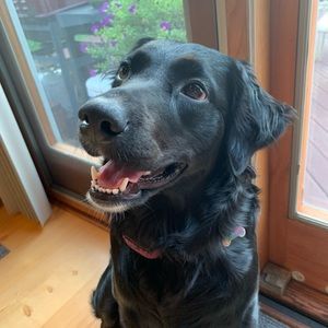 Meet your Posher, Brandon